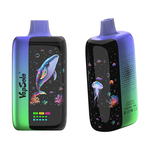 VAPSOLO MASTER 70000 puffs